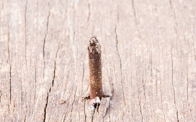 Are you sitting on a Nail?